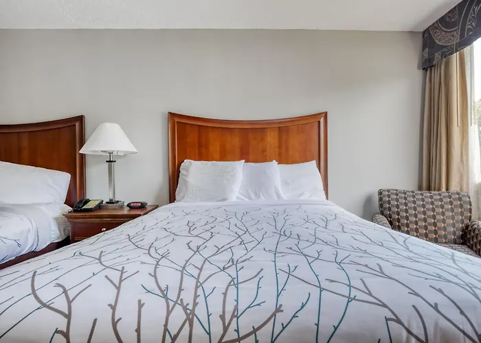 Oyo Hotel Memphis Tn I-40
