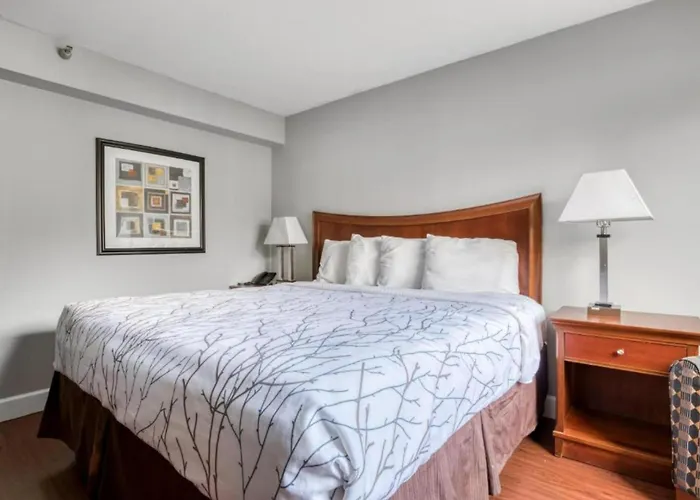 Oyo Hotel Memphis Tn I-40